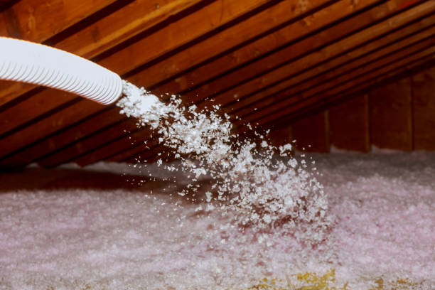 Insulation Inspection Services in Spring City, PA
